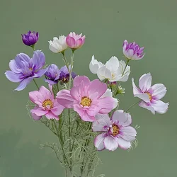 Gesang Flower Single Branch 4 Fork Queen Cosmos imitazione fiore finto fiore di seta soggiorno arrangiamento decorazione di nozze