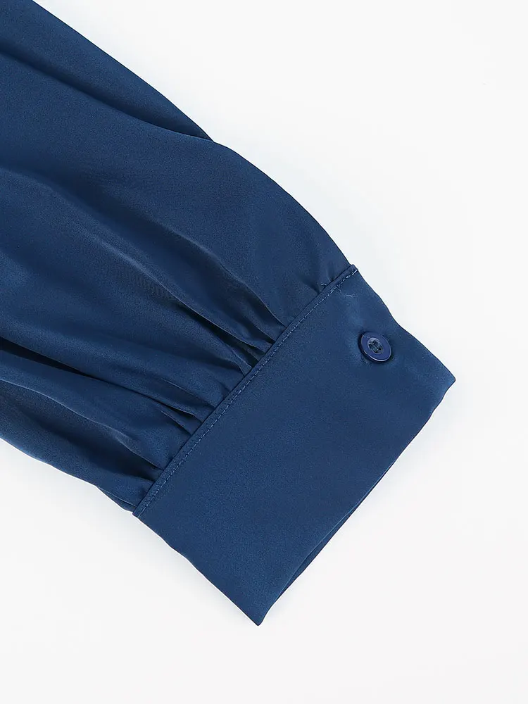 Nueva camiseta Vintage de manga larga con cuello en V de satén de lujo azul marino, moda para ir al trabajo, K Pop Office, jerséis ajustados para mujer, Polos que combinan con todo