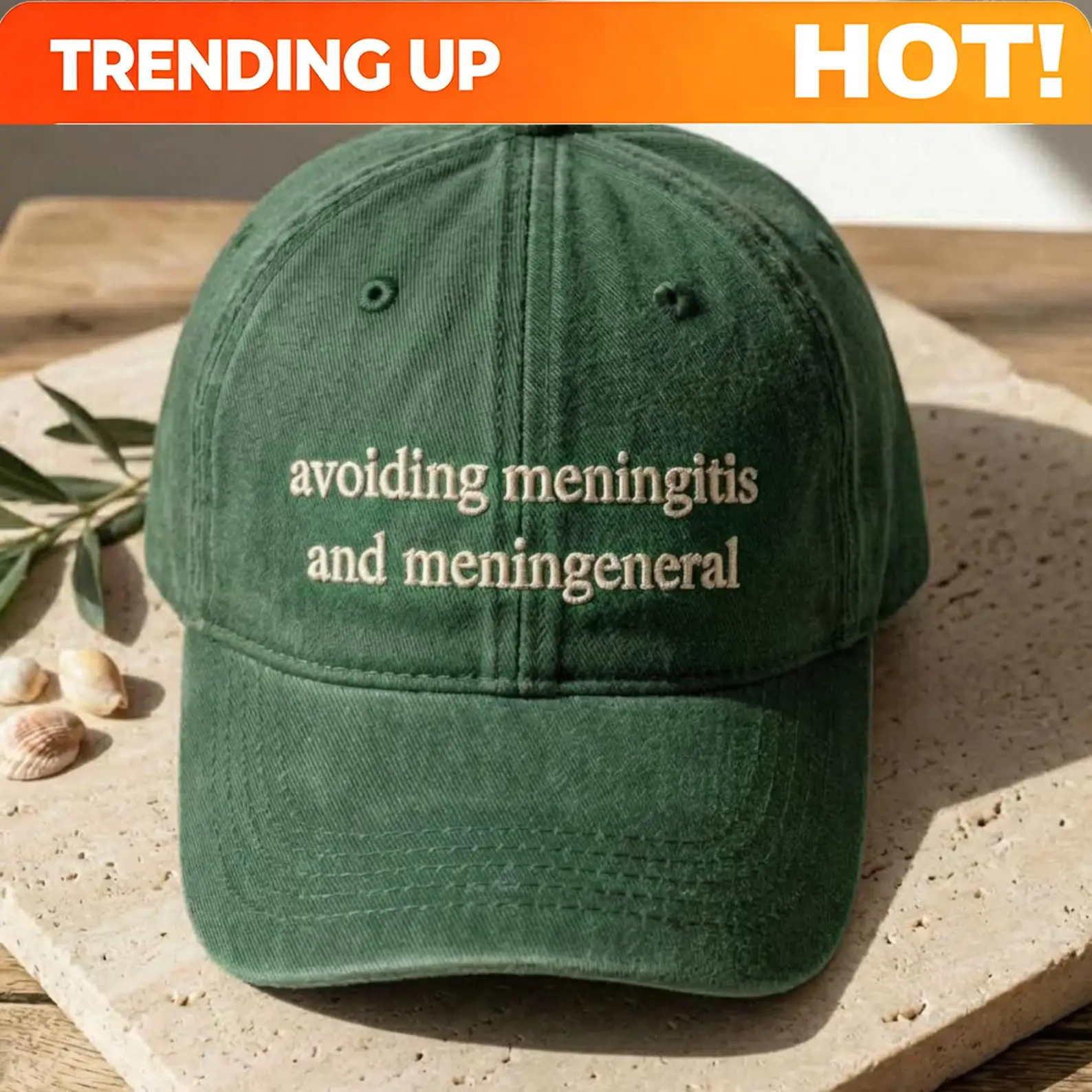 Avoiding Meningitis And Meningeneral Hat, Funny Sarcastic Quote Dad Cap, Washed Vintage Baseball Cap, Relatable Humor Gift