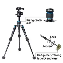 Mini Flexible Tripod for Camera and Phone #5