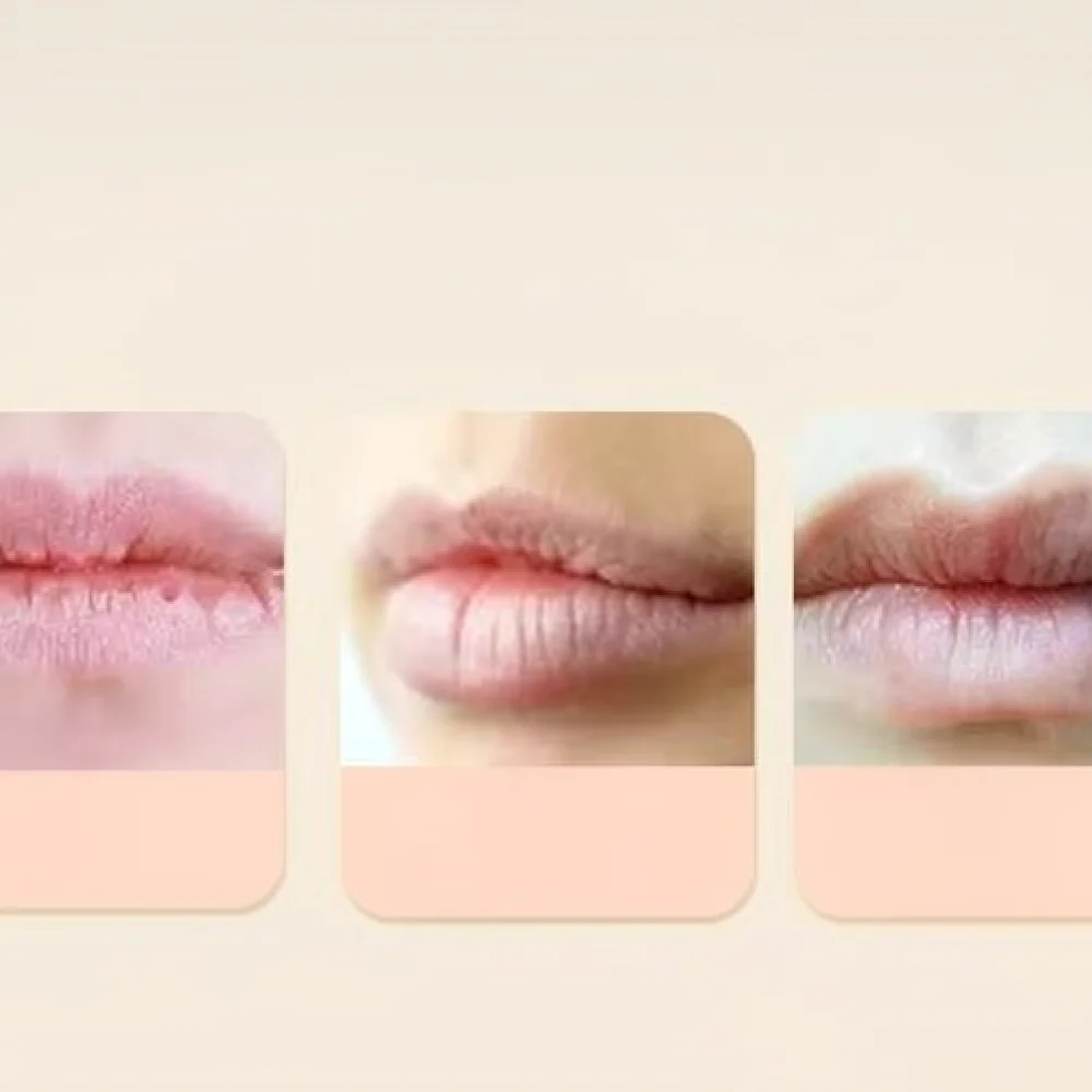 For DHC Hydrating Care Lip Balm Olive Oil Smoothing Repairing Nourishing Dry Chapped Lips Treatment Daily Base