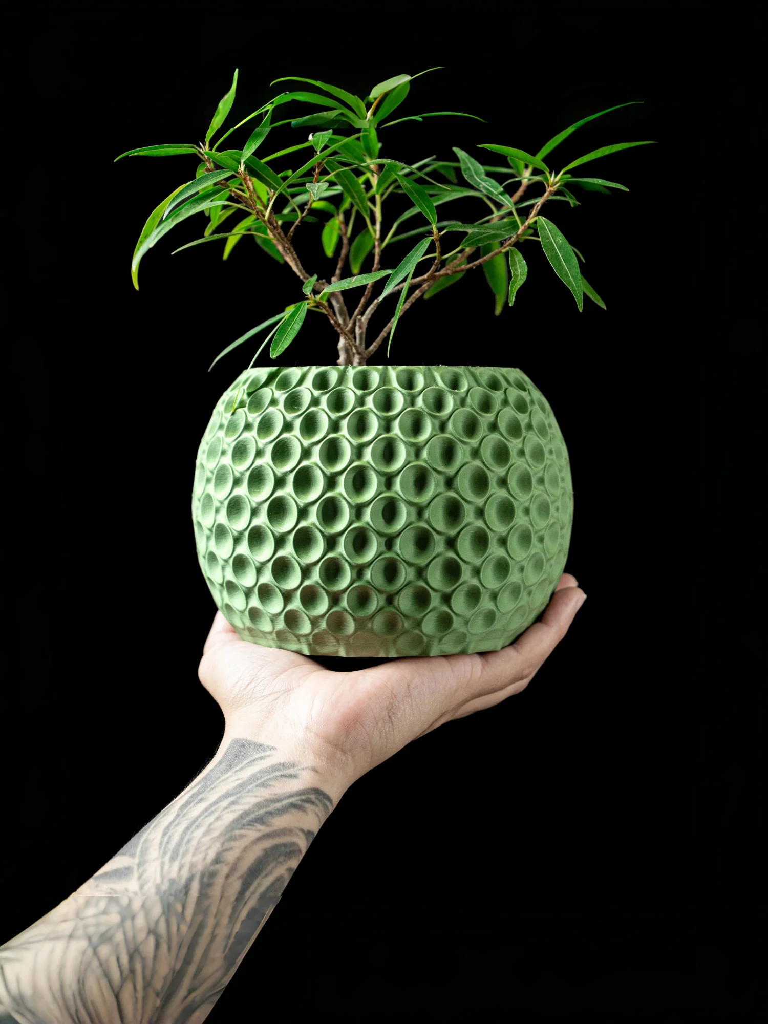 

Modern Minimalist 3D Printed Plant Pot – Biodegradable Flower Planter for Home Decor, Eco-Friendly Sustainable Gift (Quivon)
