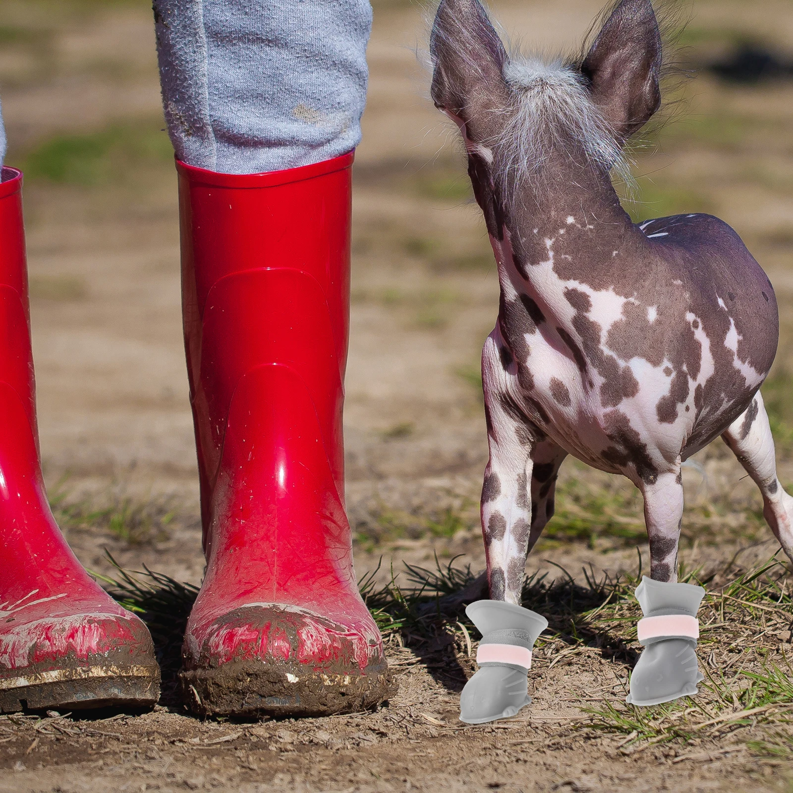 

10pcs Rain Boots Socks Hook Loop Straps Adjustable Pet Paw Covers For Dogs Outdoor Rain Snow Mud Non Slip Animal Footwear