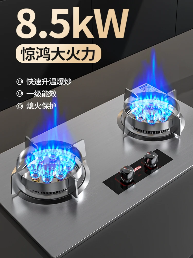 GasStove Dual Stove Household Embedded Natural Gas Liquefied Gas Timing Stove Fierce Fire Stove Desktop Dual-purpose Gas Stove