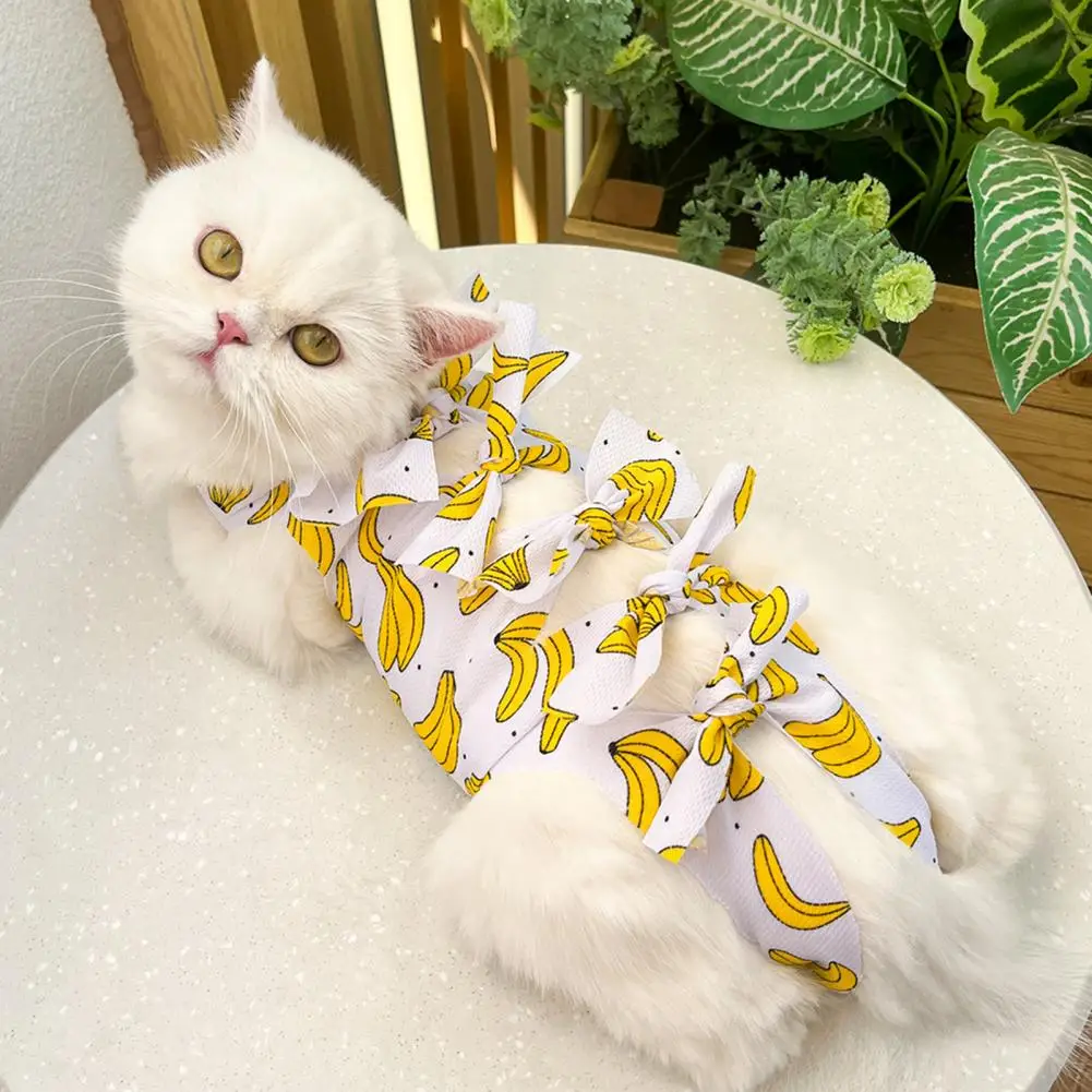 Pet Neuter Clothing Fruit Print Cat Neutering Suit Weaning Sterilization Jumpsuit for Small Dogs Cats Postoperative Care Clothes