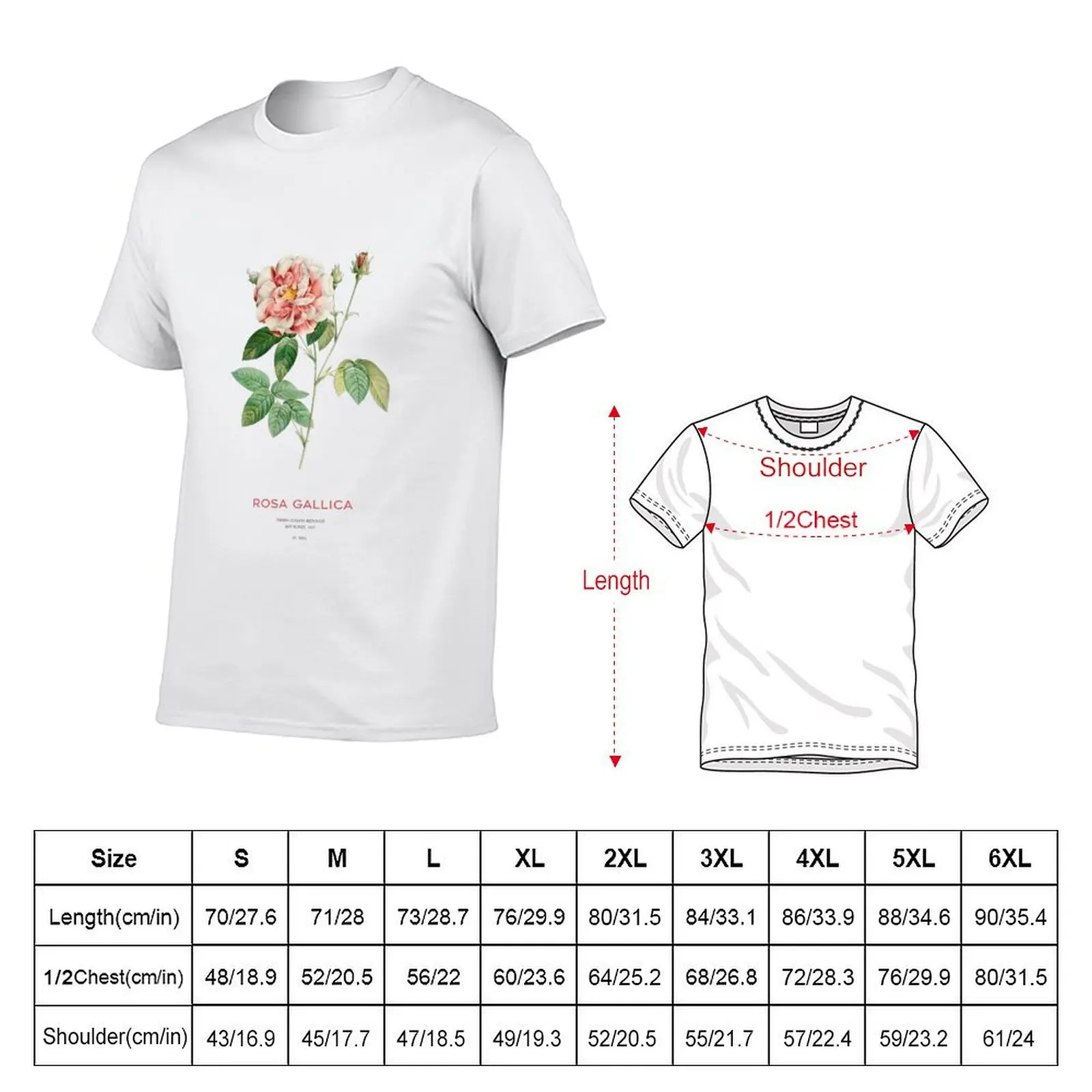 French rose or Rosa Gallica T-Shirt Lightweight Casual Summer T-Shirt