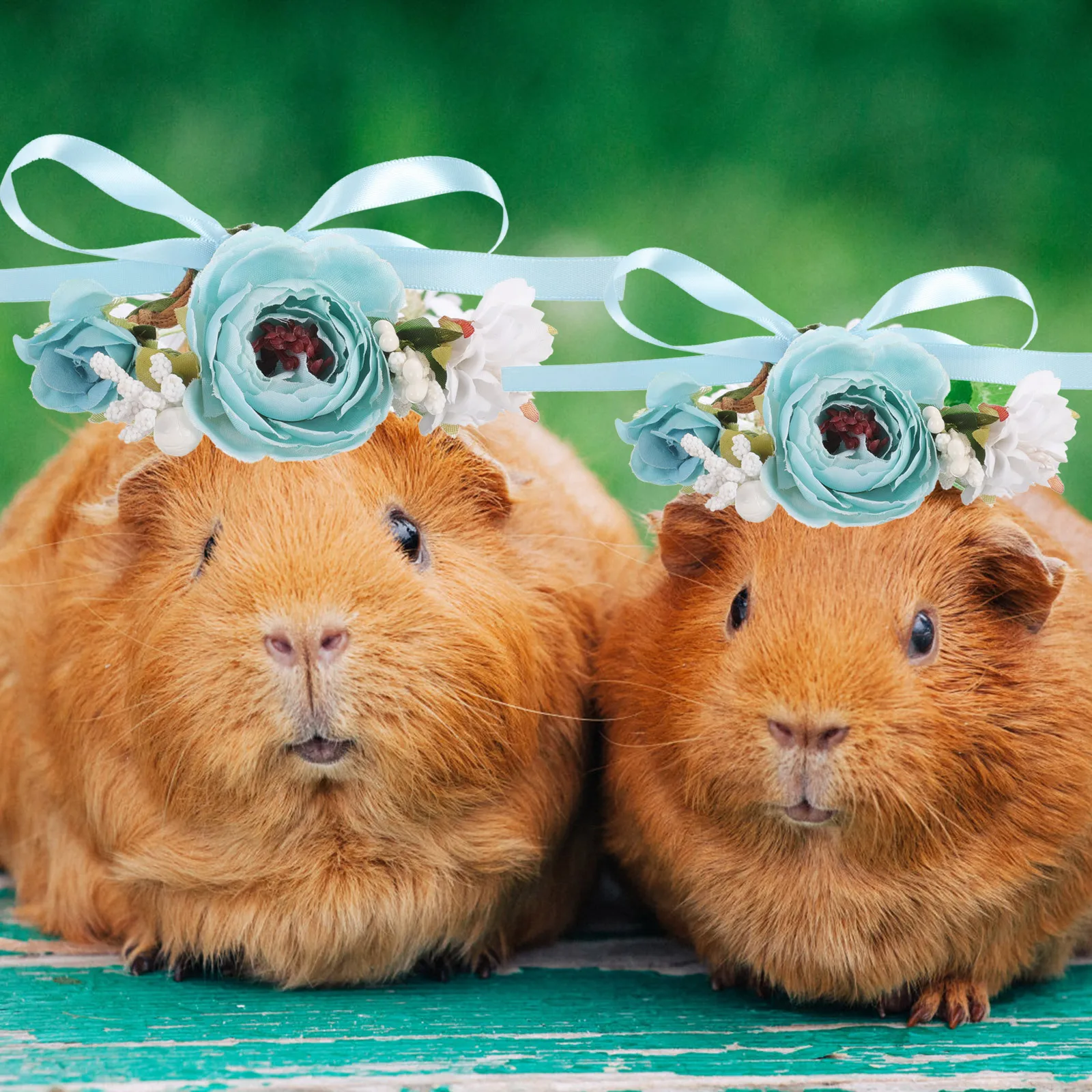 

Simulation Flower Cat Collar Decorative Flower Design Pet Collar Comfortable Soft for Daily Wear Parties Christmas Birthdays