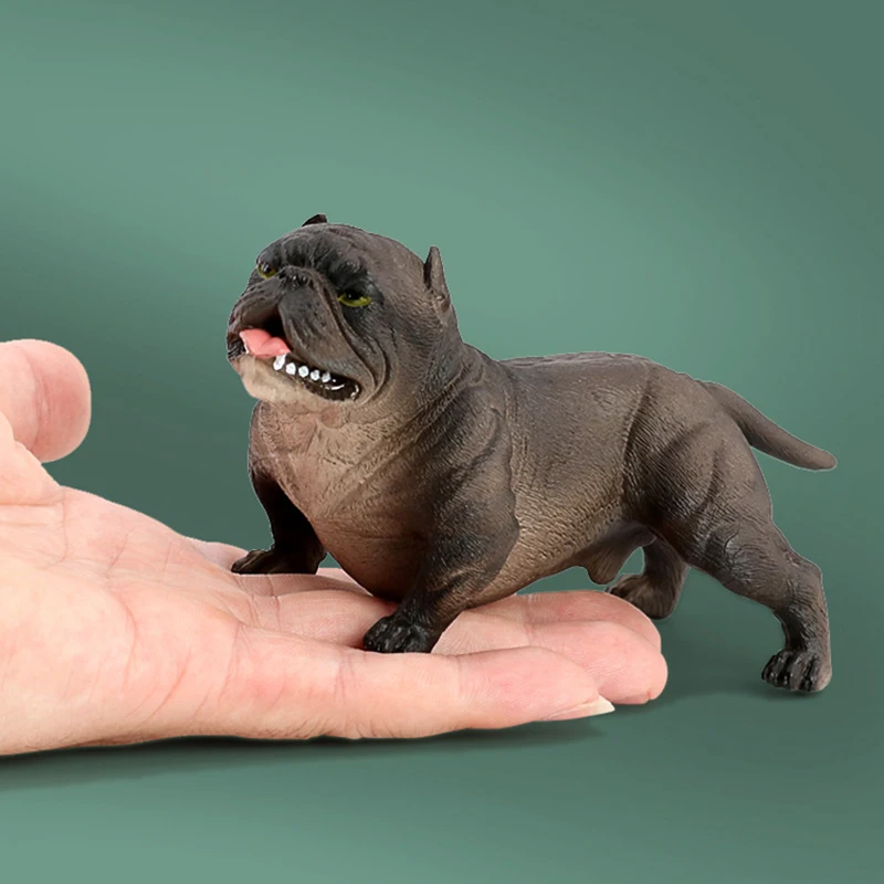 Simulation Wildlife Model Set Bully Dog Social Dog Solid Plastic Simulation Toy Micro Decoration