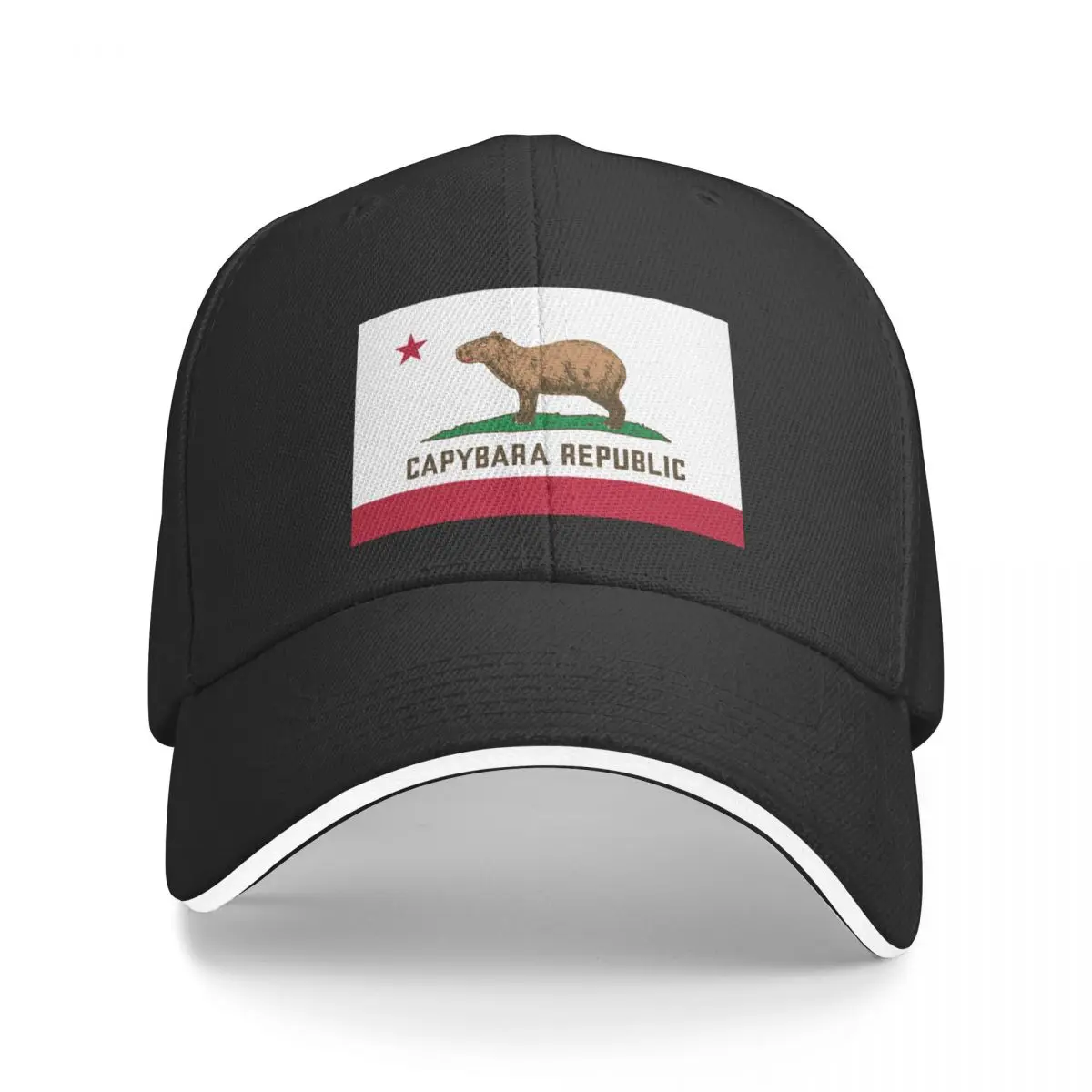 Capybara Republic (on black) Baseball Cap Mountaineering Designer Hat hiking hat Mens Hats Women's