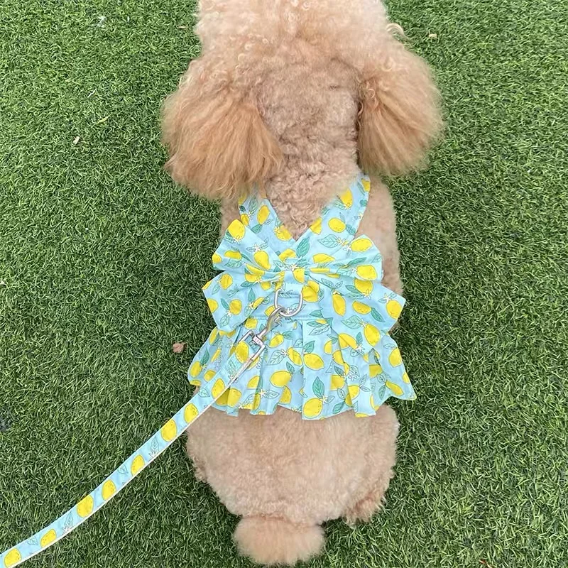 

2023 New Pet Dog Skirt and Pulling Cute Big Butterfly Chest Strap Teddy Malzis Dog Clothes Pet Accessories