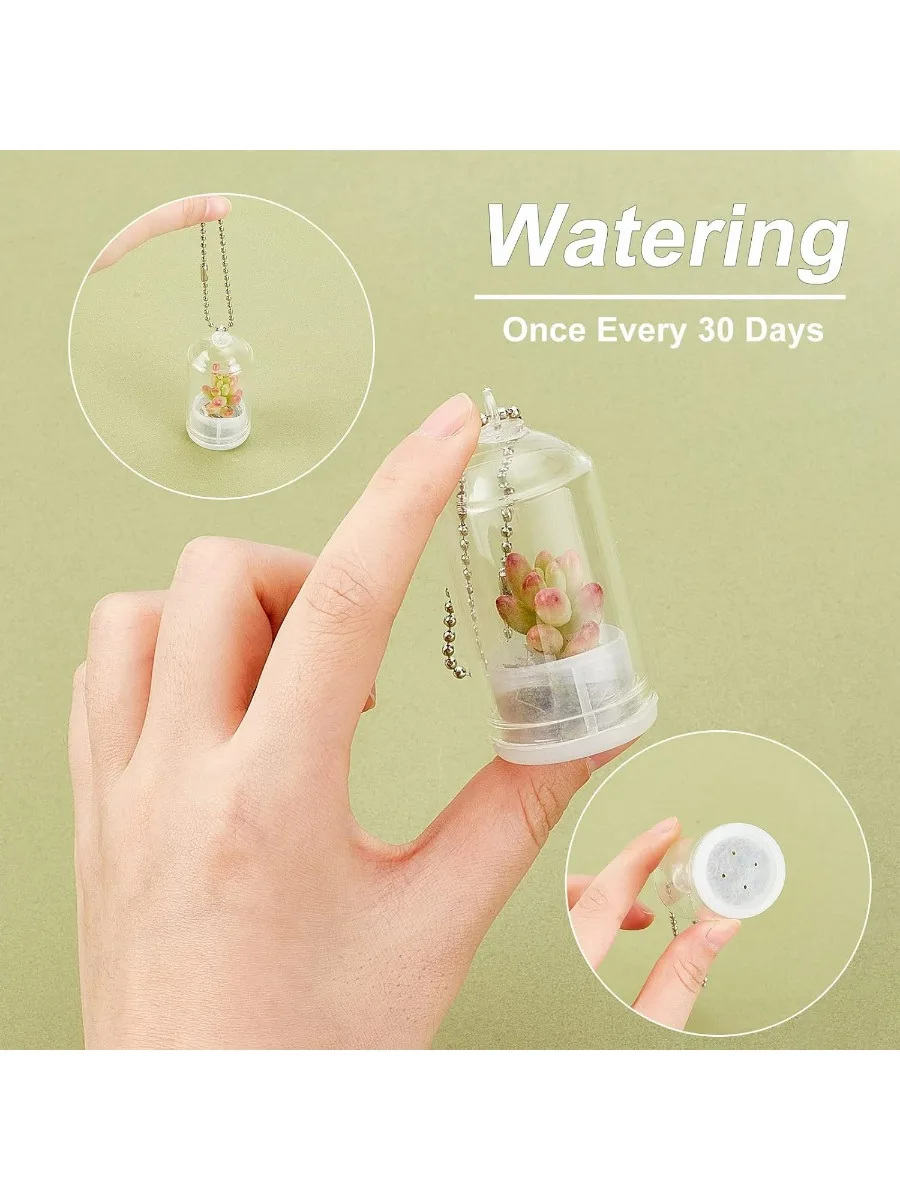 9 Sets 3 Size Clear Live Tiny Terrarium Plant Succulent Cactus Live Terrarium Mini Glass Bottles Live Terrarium Plant Keychain