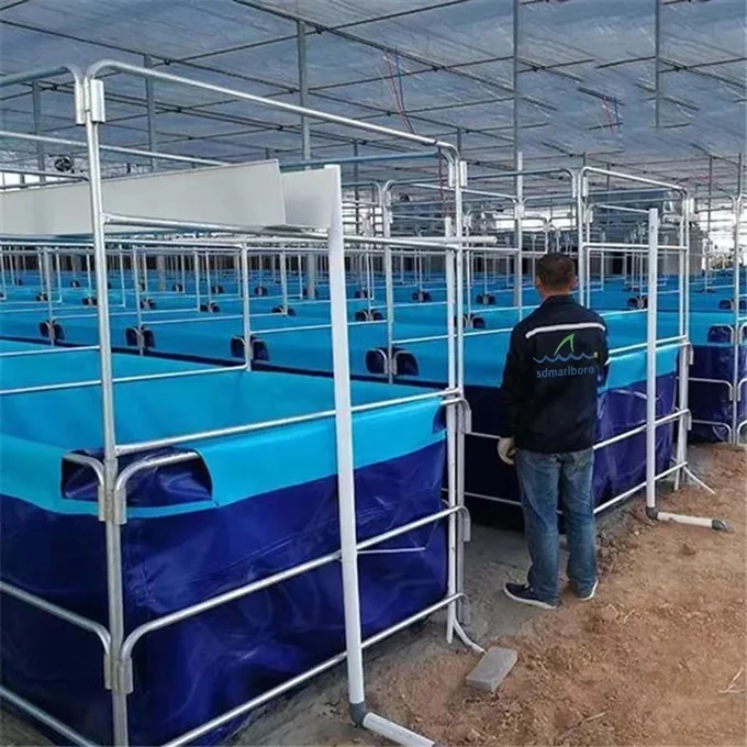 AIROW SDM Best Selling Custom Size Rectangular Rarp Liner Fish Pond Tank Shrimp Pond
