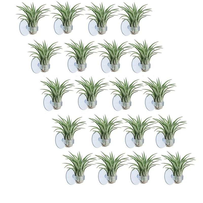 

80 Pcs Air Plant Holder, Plant Pot Tillandsia Holder Air Plant Hanger With Suction Cup For Hanging (Plants Not Included)