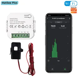 Smart WiFi Digital Energy Monitor 80A with Current Transformer Sensor CT App Monitor Power Consumption 110V 240V Work with Tuya
