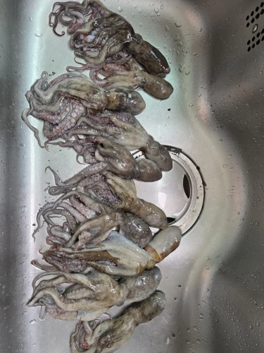 실물 포토 리뷰