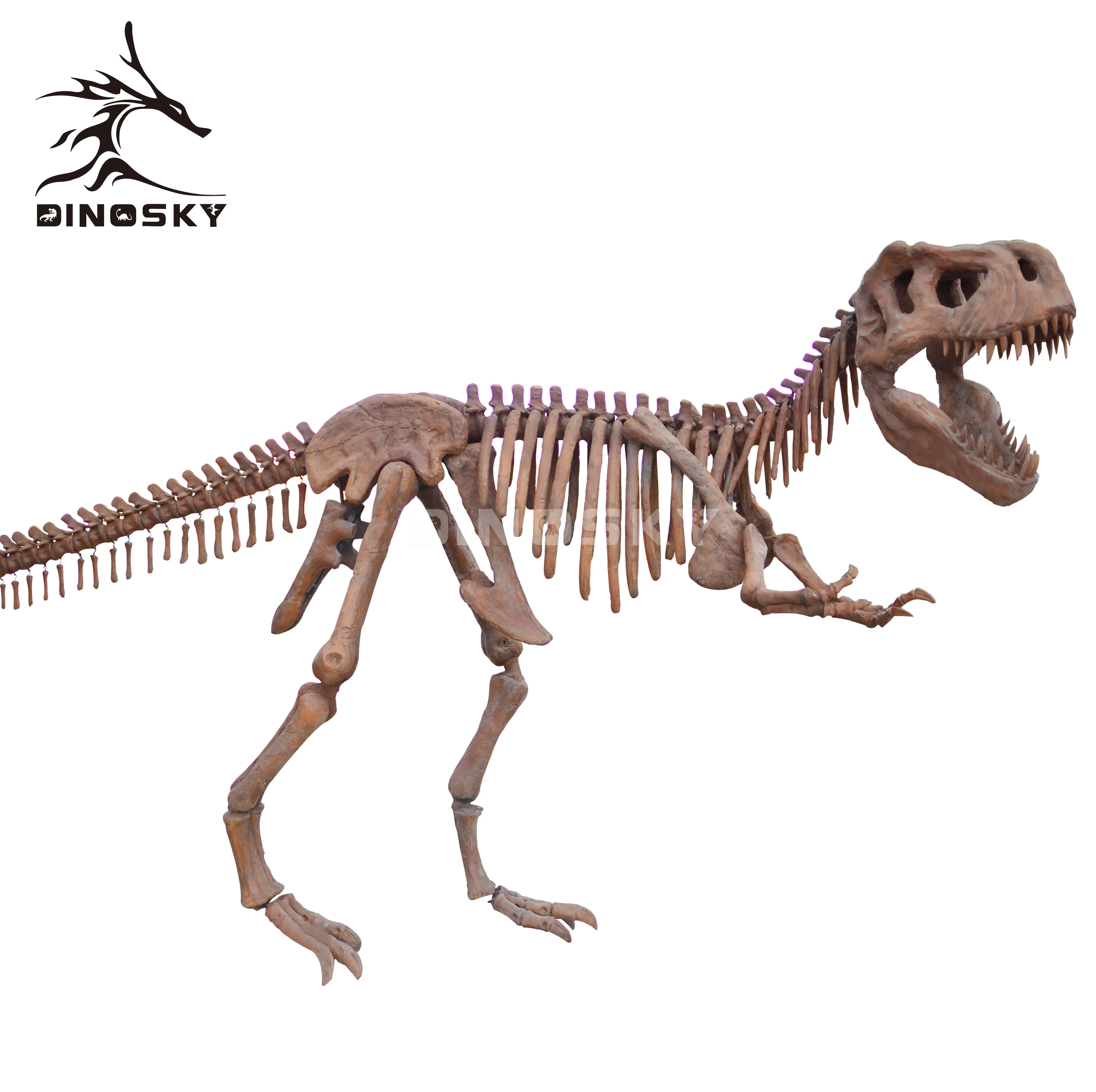

ATV&UTVNew Product Life -size Clay Modeling Technique Real Dinosaur Skeleton for Educational Purposes DINOSKY