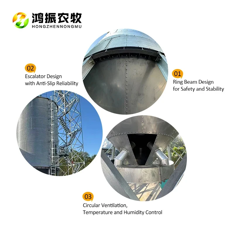 

Double-Sided Galvanized Multi-Grain Silo (Corn/Rice/Soybean)