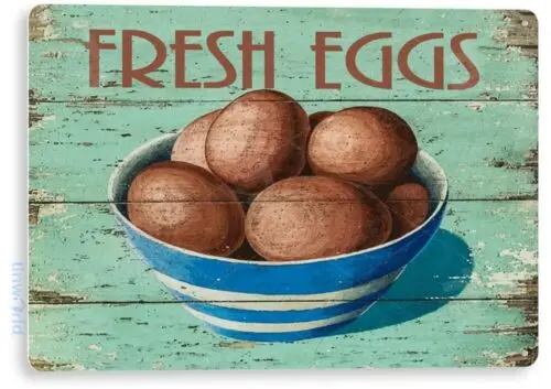 Fresh Eggs Bowl Farm Kitchen Chicken Rustic Eggs Metal Sign Decor Tin Sign B353