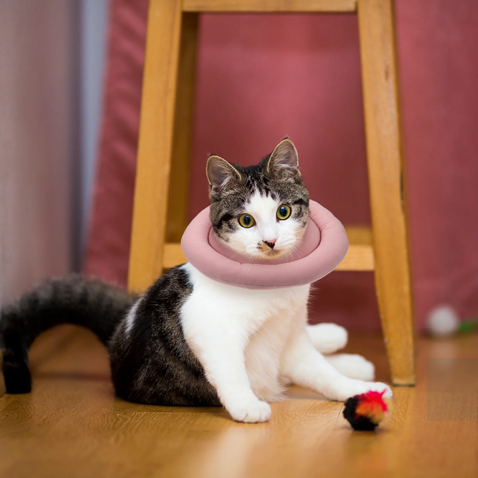 

Pet Recovery Waterproof Fabric Anti Bite Scratch Kitten Cone Anti Bite Pet Collar Neck Durable Dog Accessories