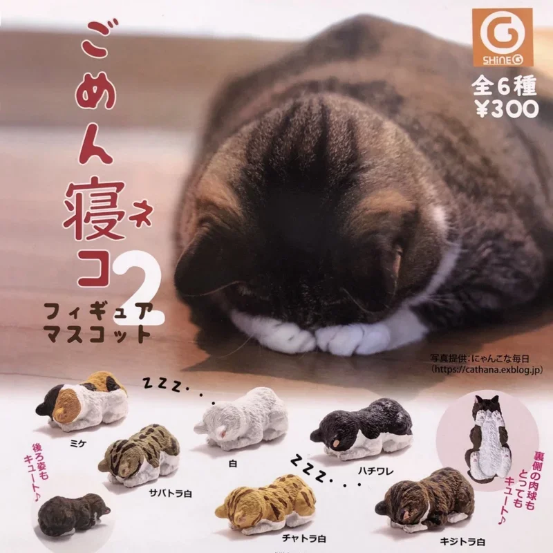 

SHINE-G Japan Gashapon Kawaii Dozing Cat Figure Cute Figurine Anime Capsule Toys Desktop Decor Gift