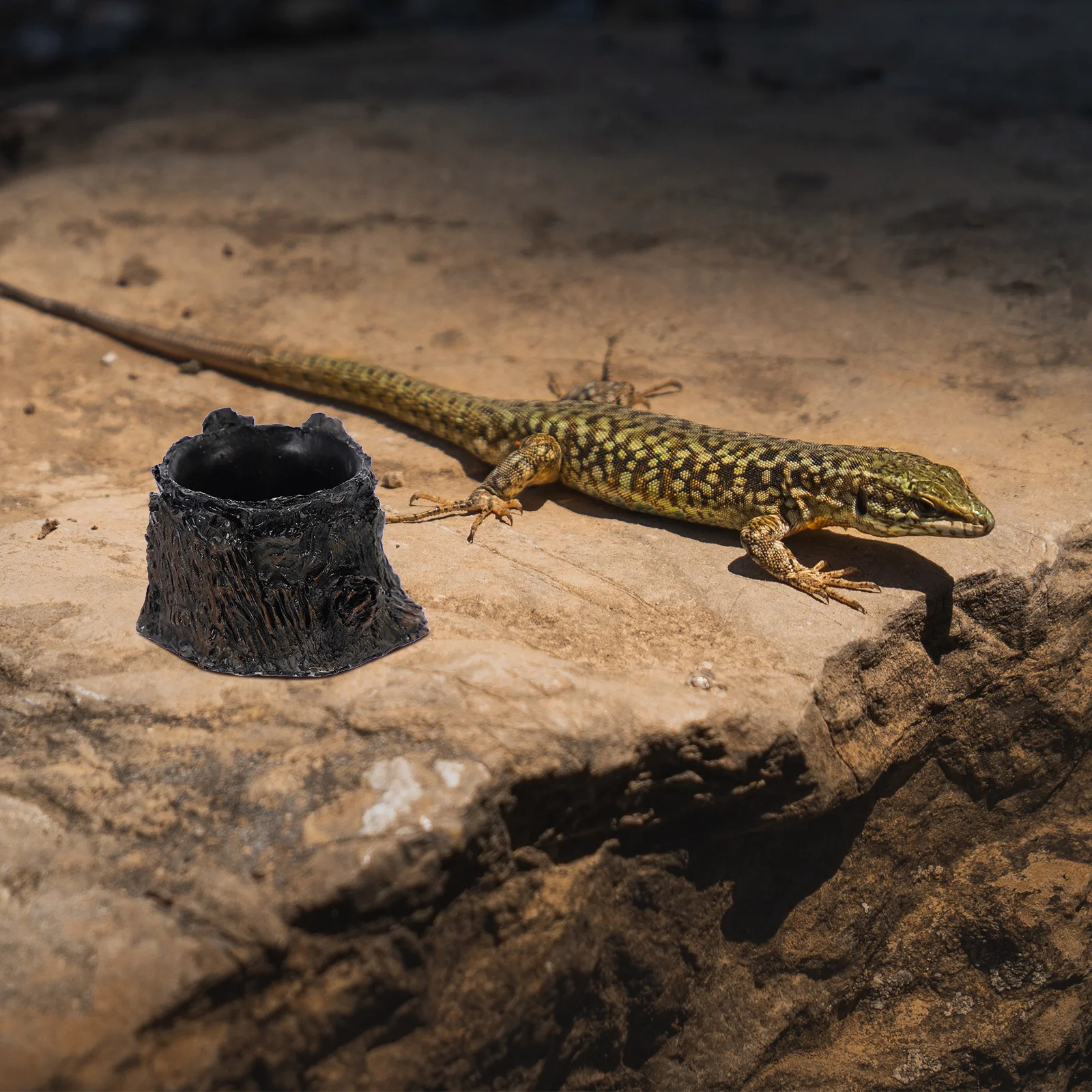 

Reptile Tank Accessories Resin Water Dish Bearded Dragon Food Bowl Fine Workmanship Safe Mouth Touch Meal Worms Holder