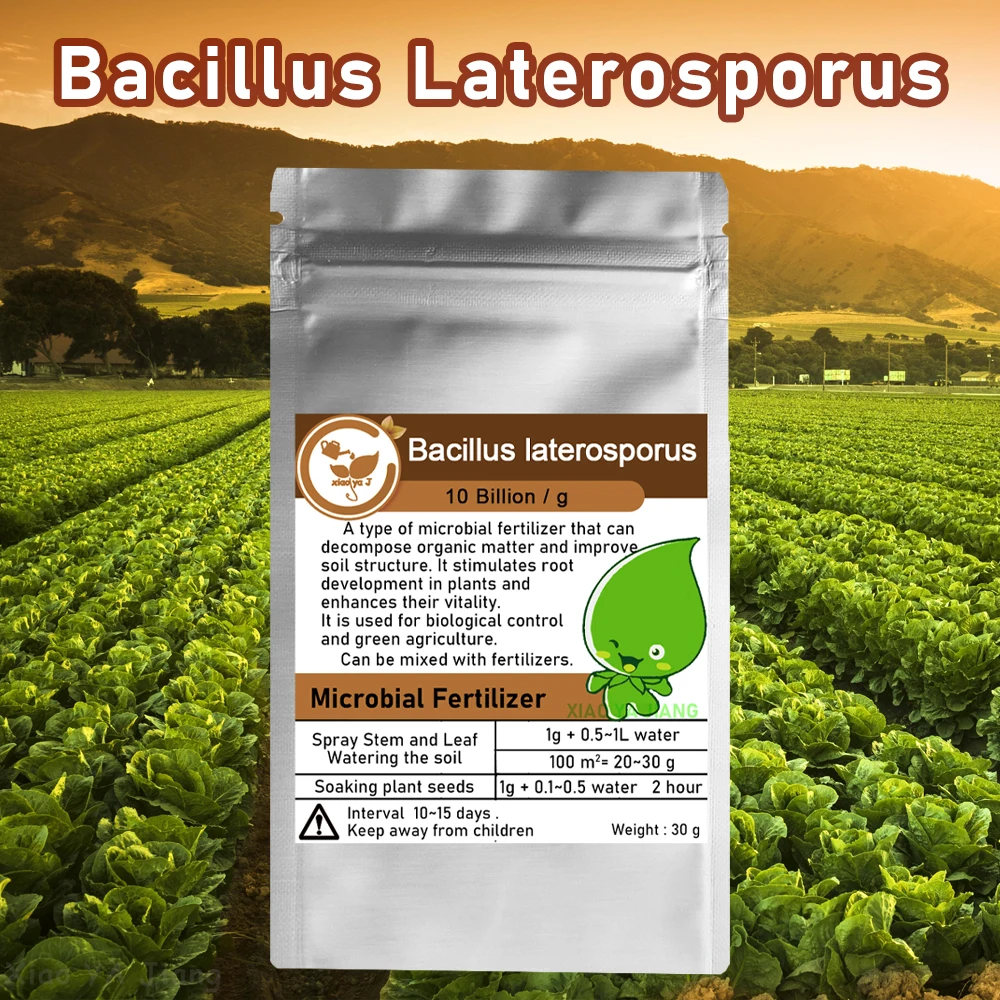 Fertilizante orgánico verde Bacillus Lateralosporus de 30g para uso agrícola aumenta el crecimiento de las cultivos y la salud del suelo naturalmente