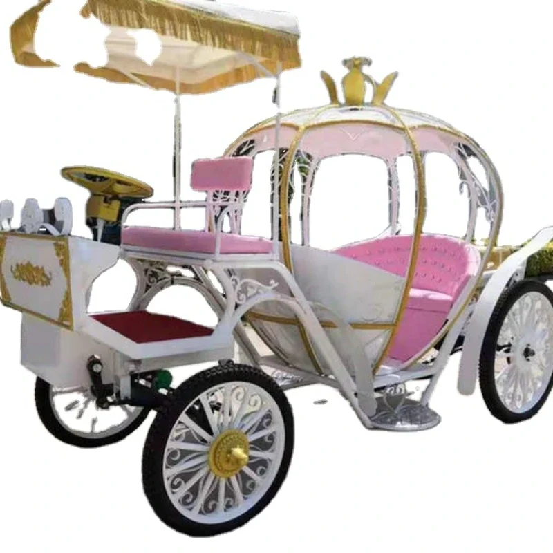 Pony Cart for Wedding, Electric Horse Diving SFP, Proximité, WNeshire Age, Hot SalesPony