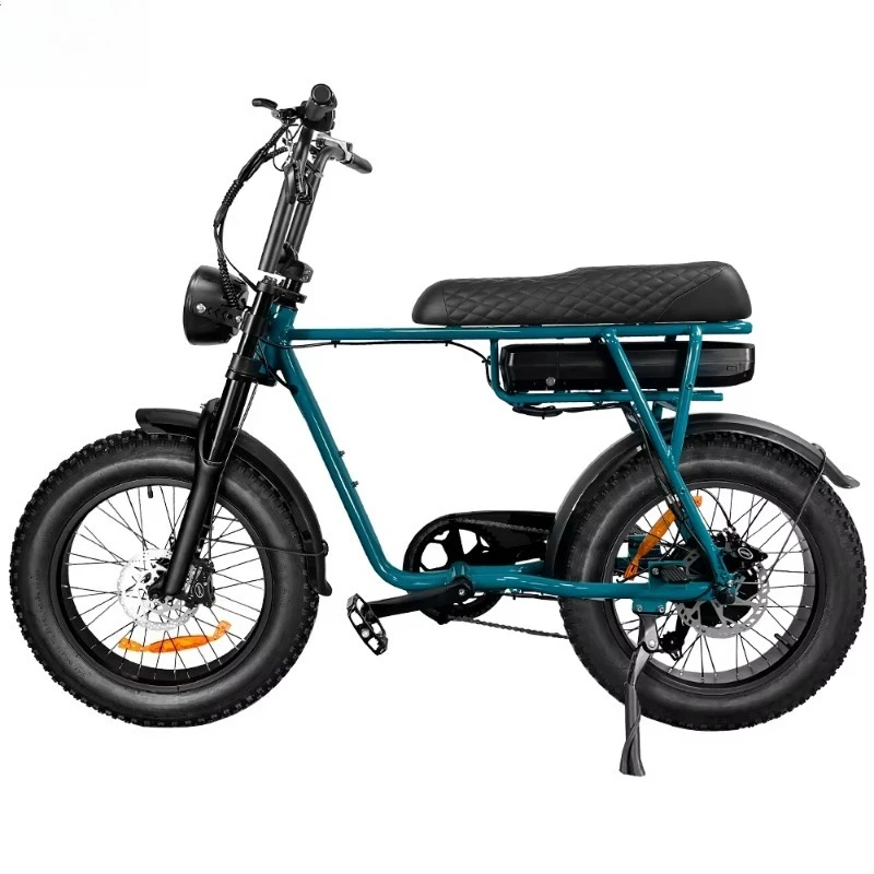 Electric Road E-Bike Two Seat Aluminum Alloy Frame Disc Brake Fat Tire 750W 48V Lithium Battery