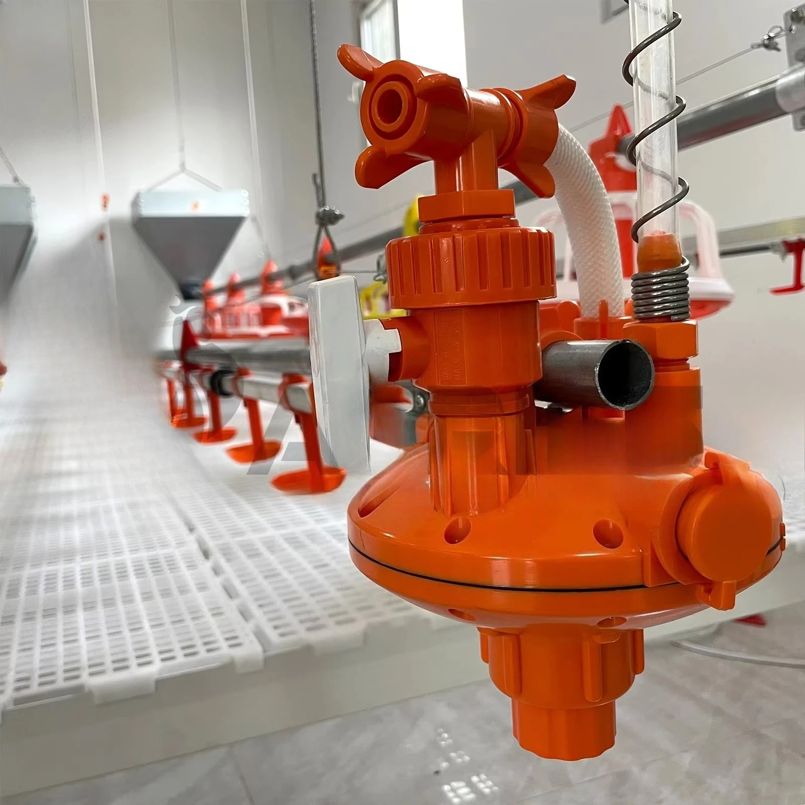 

Complete Chicken Poultry Feed Line Project Farm Equipment for Sale Automatic Chicken Feeder Poultry Automatic Feeding System