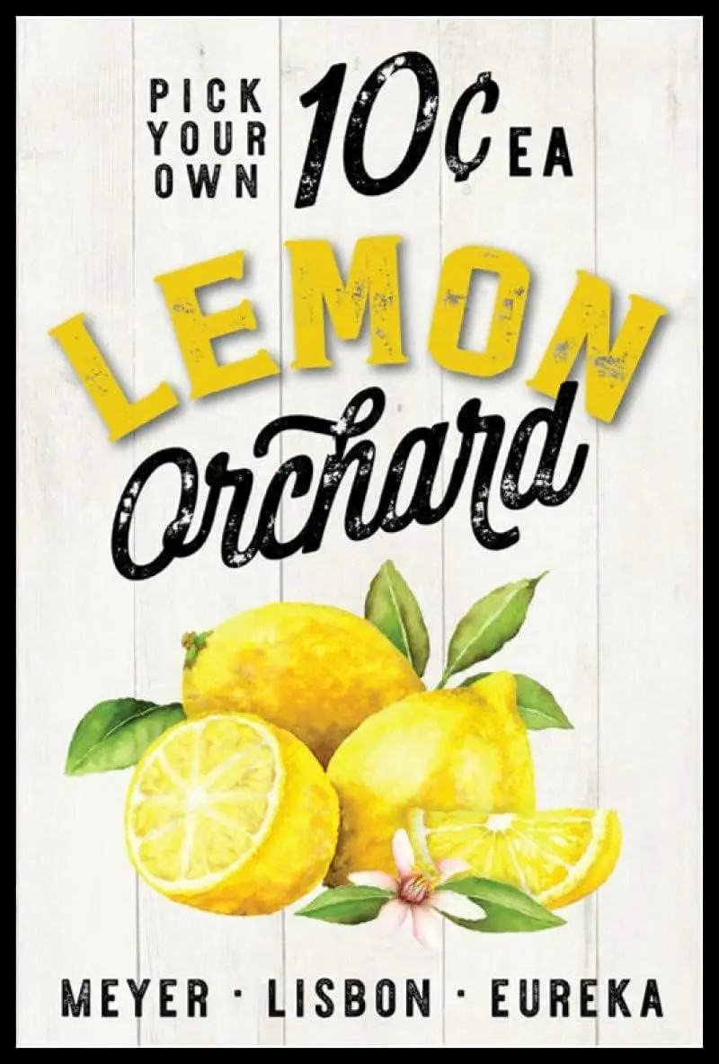 1pcsPick Your Own Lemon Orchard Vintage Tin Sign Meyer Lisbon Eureka Vintage Metal Poster Home Garden Garage Bathroom Cafe Resta