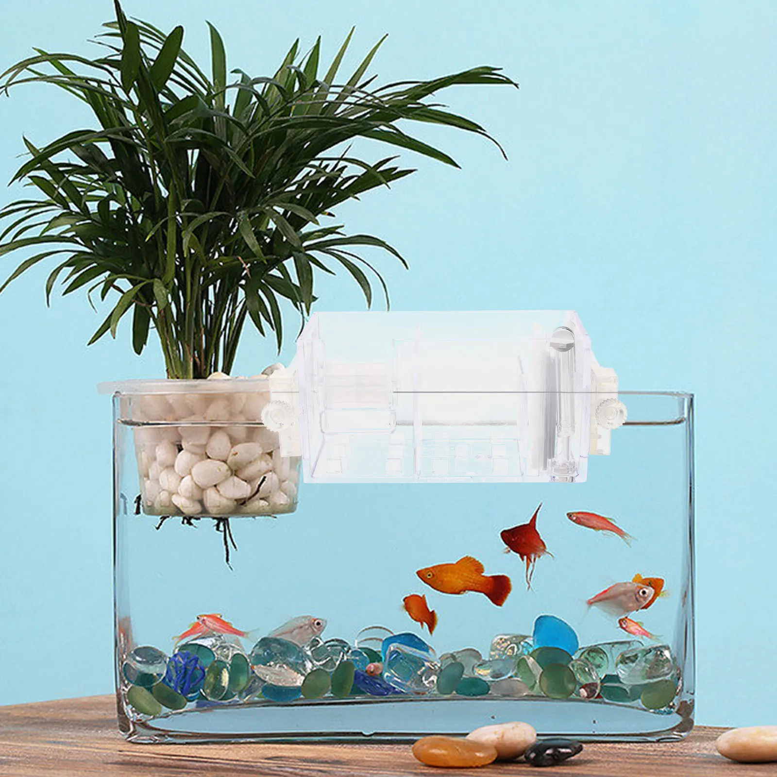 

Fish Tank Filter 3-in-1 Purification System Transparent Box for Aquarium Waste Collector Supplies Water