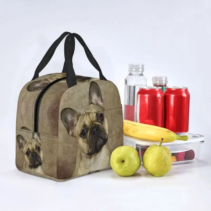 French Bulldog Lunch Bag Women Warm Cooler Insulated Lunch Boxes for Kids School