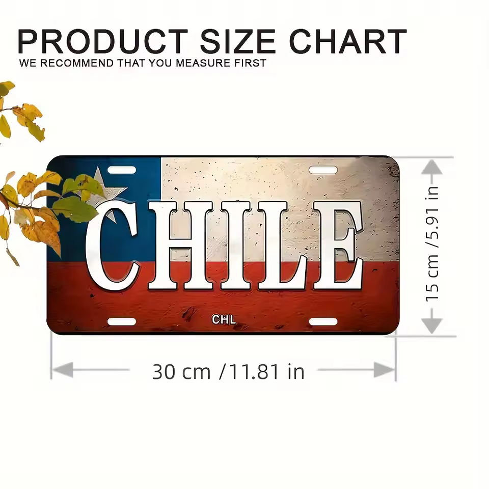 칠레 번호판 상세 이미지 1
