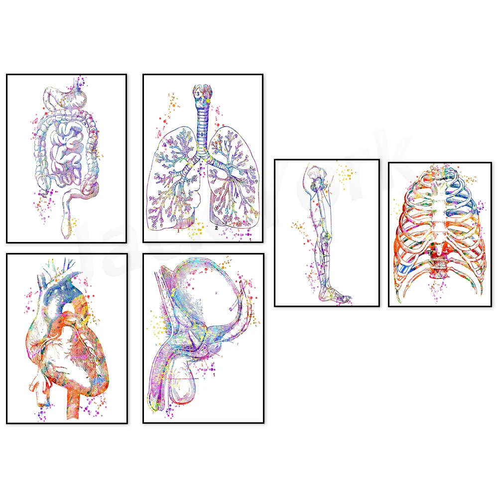 Pulmonary Art ,Heart Art ,Skeleton Leg Art Print, Arms Skeleton Art, Medical Art work, Office decor, Doctor, Nurse, Art Prints,