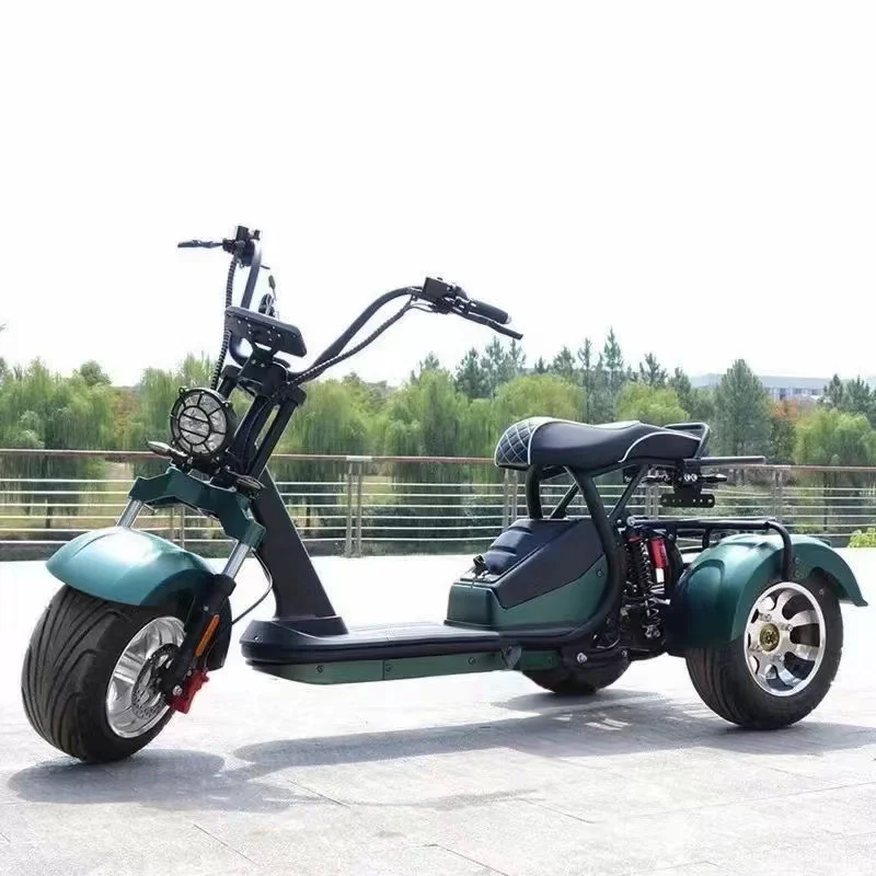 Clark is hot selling Unisex 3-Wheel Electric Tricycle Citycoco EEC Approved Electric Dirt Bike  and Motorcycle 2000w Powe