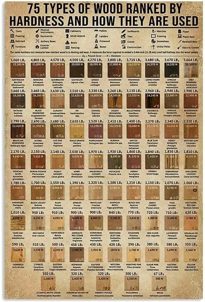 Panneau métallique « Connaissance de la menuiserie » : Guide des 75 types de bois classés par dureté et modes d'utilisation – Plaque rétro en étain, style vintage