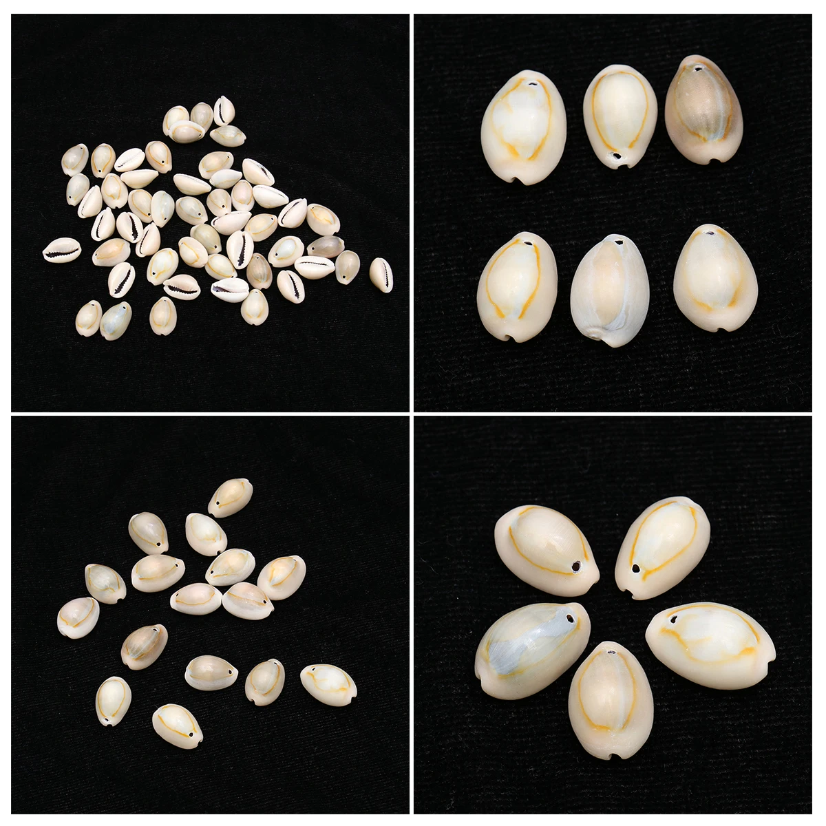 

50Pcs Versatile Conch Shell Pendant Sea Snail for DIY Necklace Earring Natural Craft Decoration Supplies