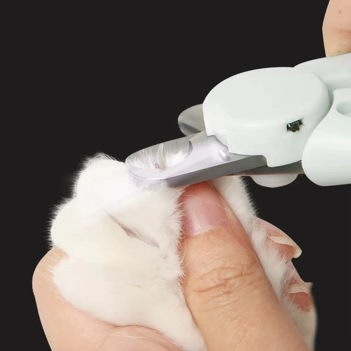 Thumbnail 3 - #50 Best Cat Nail Trimmer to Buy In 2026