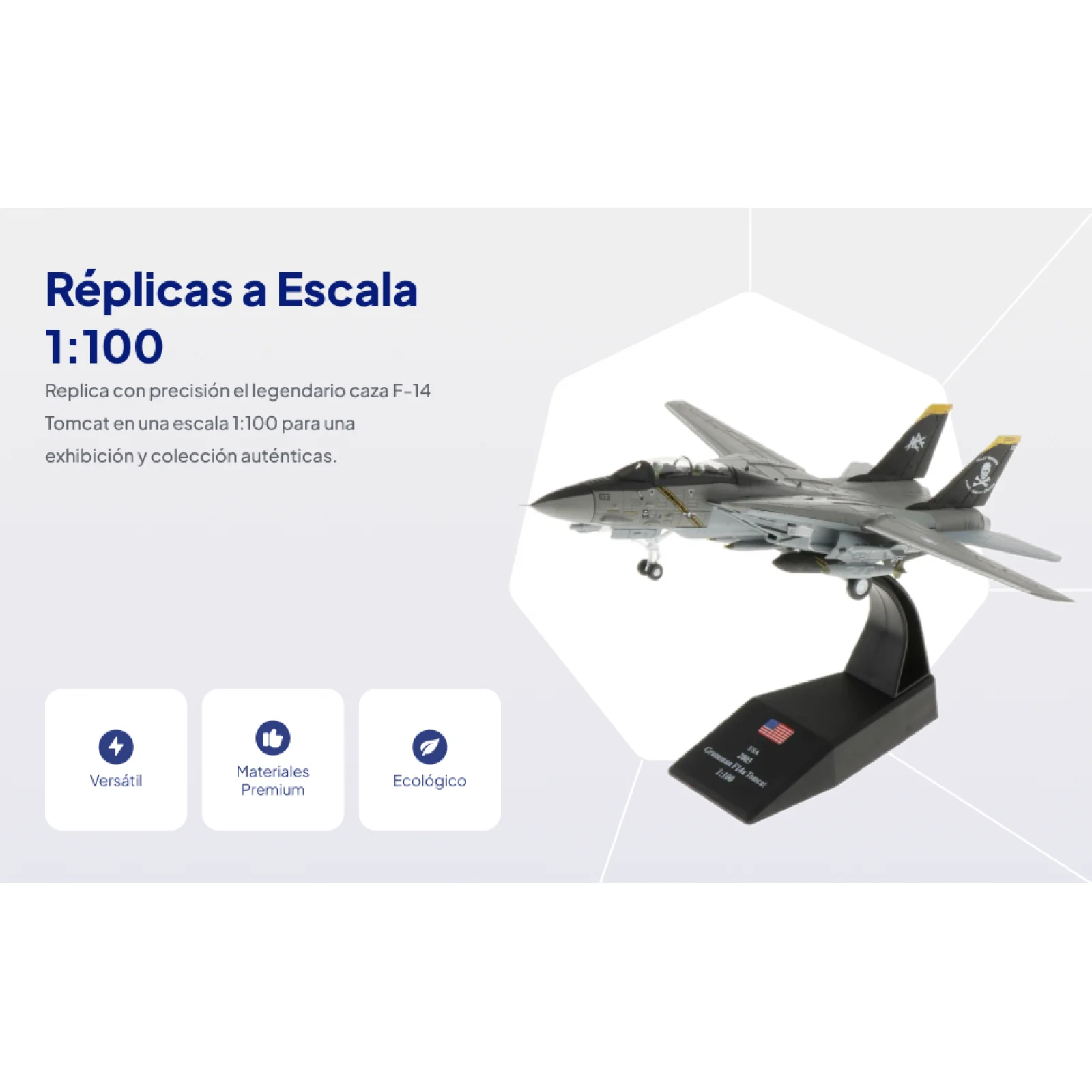 

F 14 Model 1/100 Air 1: 100 Airplane Toy From