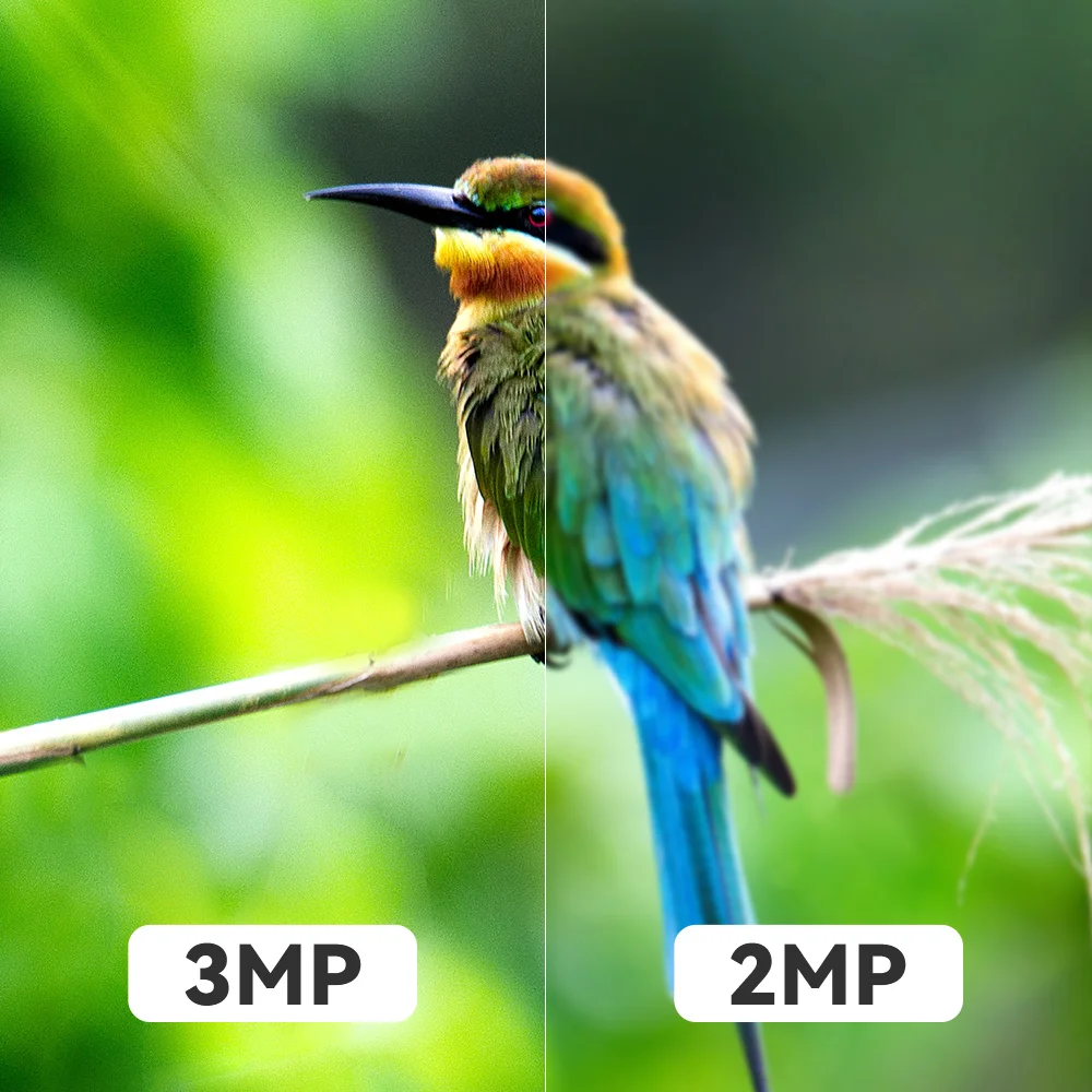 3MP WiFi Hdcvi Outdoor Night Vision Device Bird Identification PIR Motion Detection Smart Bird Feeder Camera Wild Camera