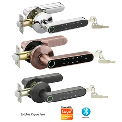 Bluetooth Tuya Smart Fingerprint Lock Lithium Battery Electronic Handle Lock Key For Wooden door