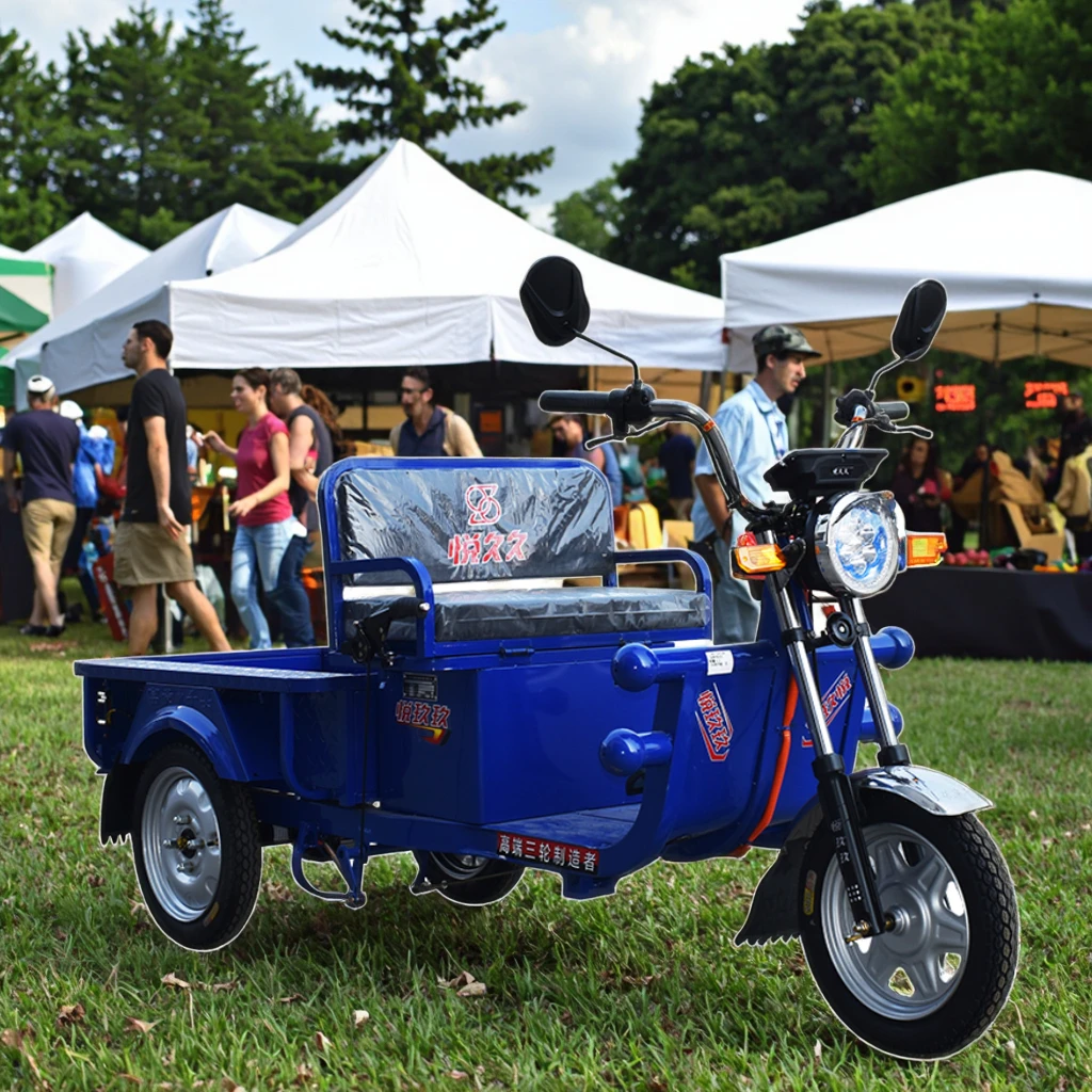 

Wholesale 60v Electric Cargo Tricycle for Adults New Design 3-Wheel Bike 850w/1000w Motor 1m Electric Motorcycle Tricycle for