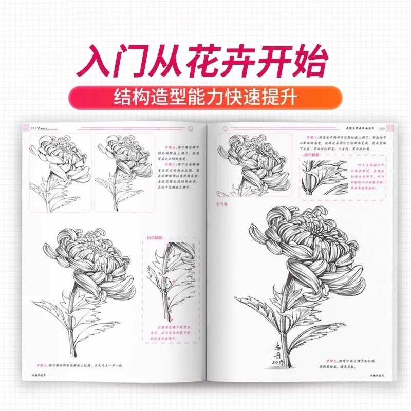 2PCS Learn Sketching for Fun: Quick Drawing Guide for Plants, Flowers & Animals with Pencil | Easy Copy Practice Book