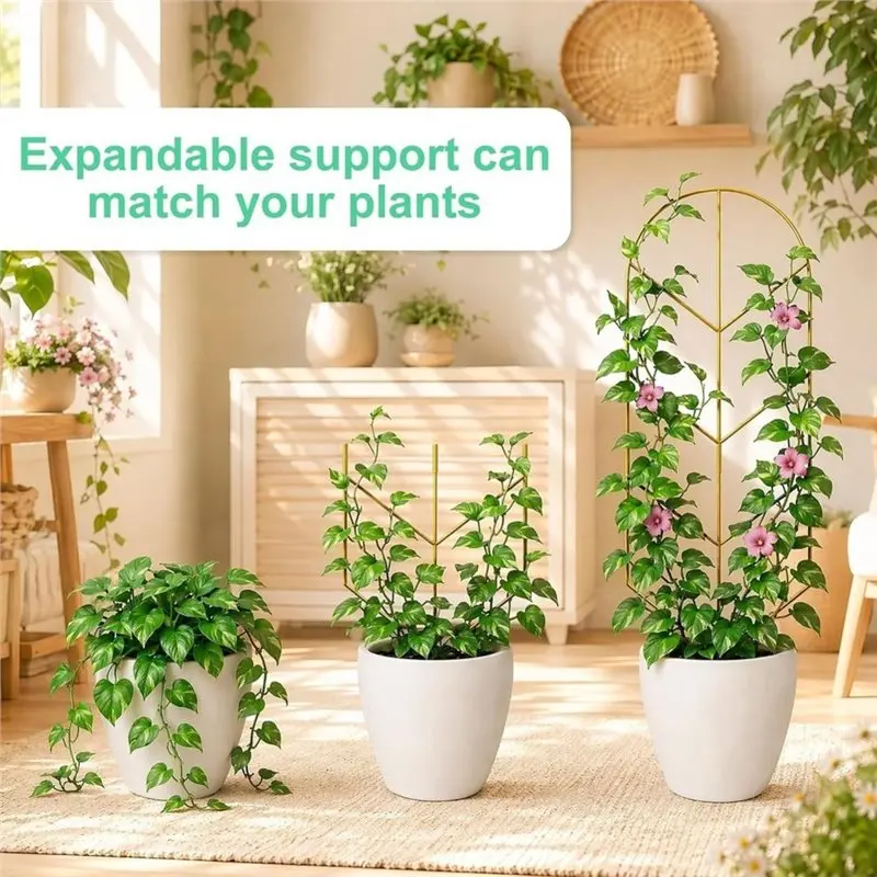TFORU-Garden Support For Potted Plants(Indoor), 2 Pack Large Climbing Plant Trellis, 30