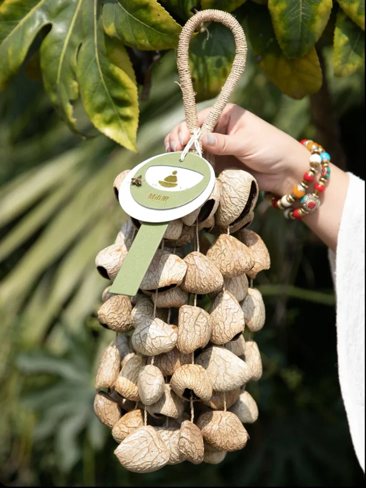 Chimes Fruit Shell Rattle Natural Plants Make Performance Accompaniment Beam White Noise Hand Wind Chimes Musical Instruments