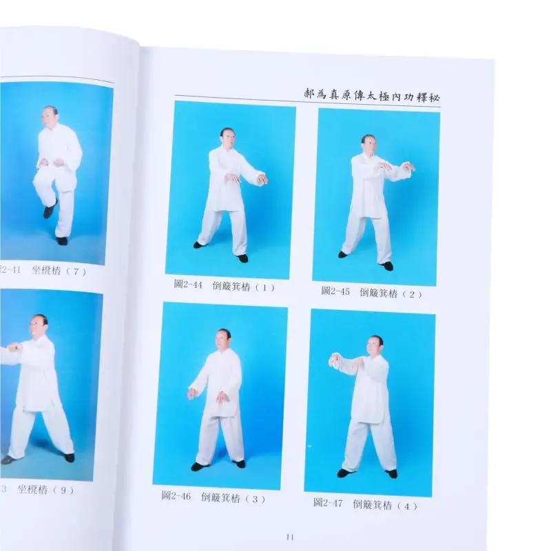 La transmission originale Taiji Neigong par Hao Weizhen révèle ses secrets Hu Fengming Xin Yitang Co LTD 9789888583102 livre