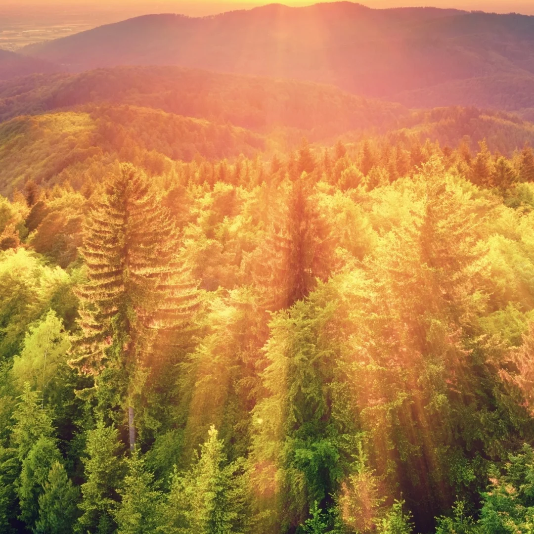 

Android 13 Car Radio For Chevrolet Camaro 2008-2015 Multimedia Carplay Audio Player DSP Stereo GPS Auto Navigation Head Unit