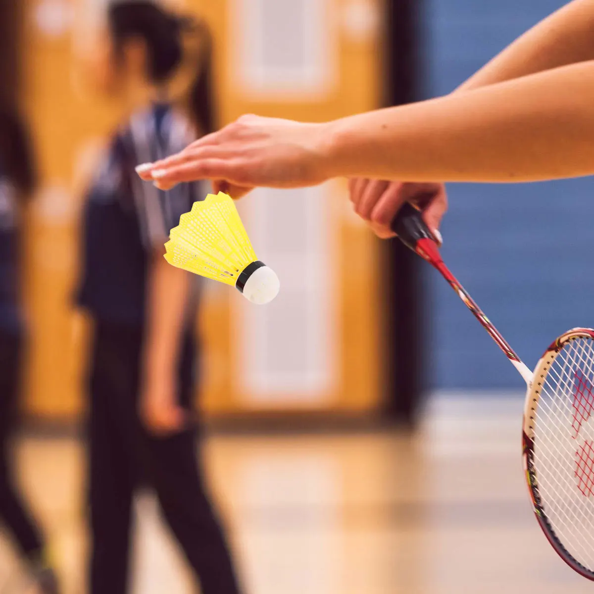 

6 Pcs Colored Badminton Shuttlecock Outdoor Sports Equipment Shuttlecocks The Bird Ball Colorful