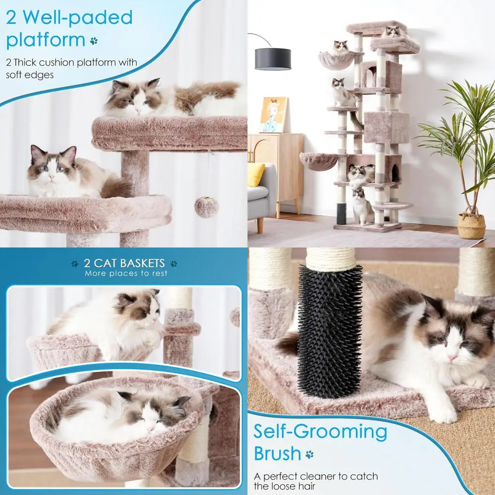 74 Xl Indoor Cat Tr… - image