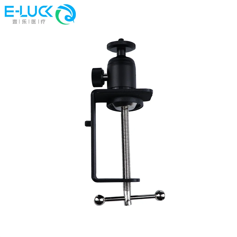 Klip Desktop Meja Meja Mount Clamp Model Gigi Gigi Tetap untuk Belajar Model Belajar